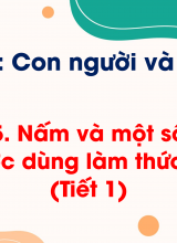 Chủ đề 4 - Bài 15 Nấm và một số nấm được dùng làm thức ăn (Tiết 1)